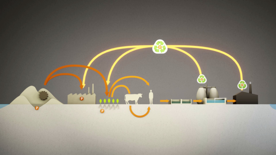 Erklärfilm über Phosphor-Recycling für RePhoR, Standbild: Darstellung des gesamten Phosphorkreislaufs.